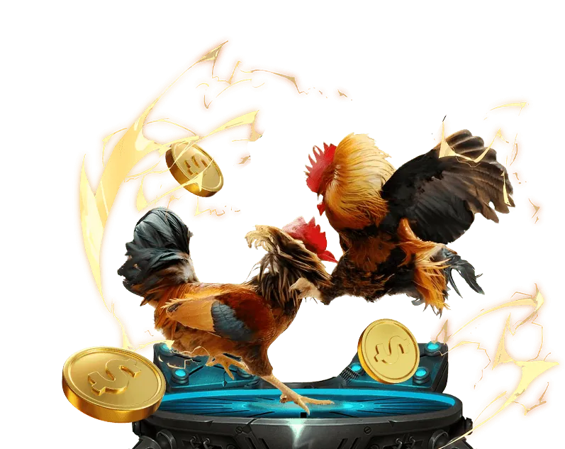 Tầm nhìn của sumvip5